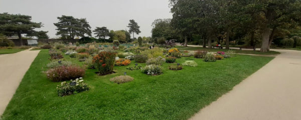 Le Jardin des Plantes à Nantes