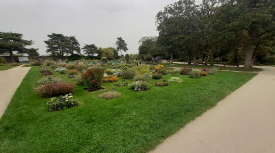 nantes-ecologique-initiatives-vertes-transformant-la-ville